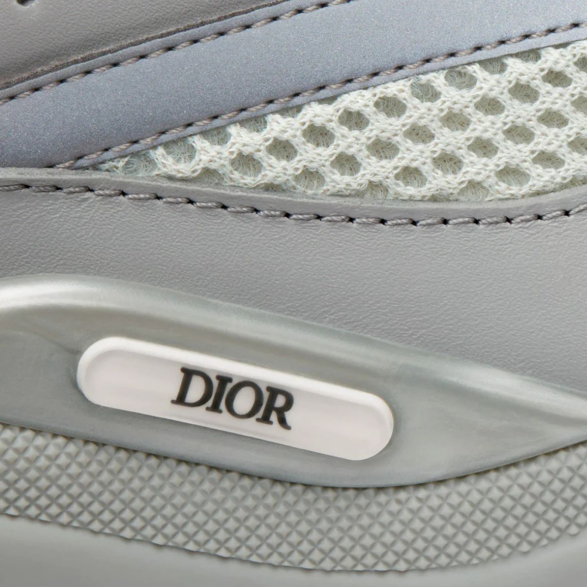 Dior B22 Grey