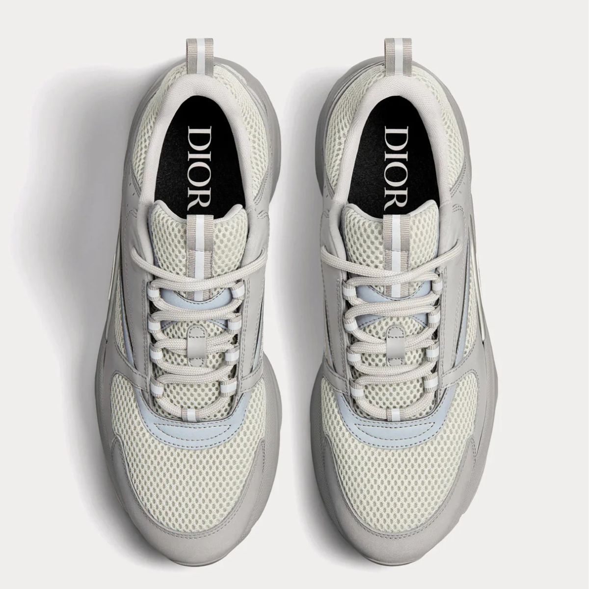 Dior B22 Grey
