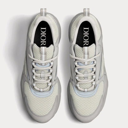 Dior B22 Grey